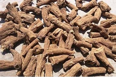 مسحوق عشبه كف مريم بالقسط الهندي مع الاشواجندا من كيندا 80 جم
