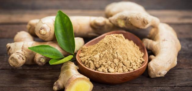 كريم الجنزبيل تخسيس الأرداف - 35 جم من كيندا