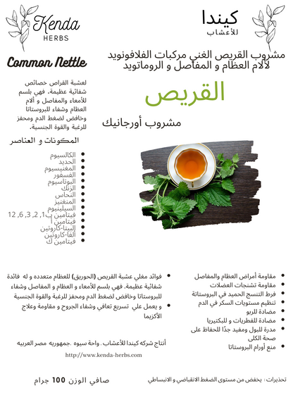 عرض 3 عبوات شاي نبات القريص المجفف من كيندا 300 جم