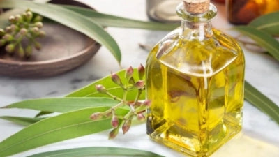زيت الكافور - 30 مللي