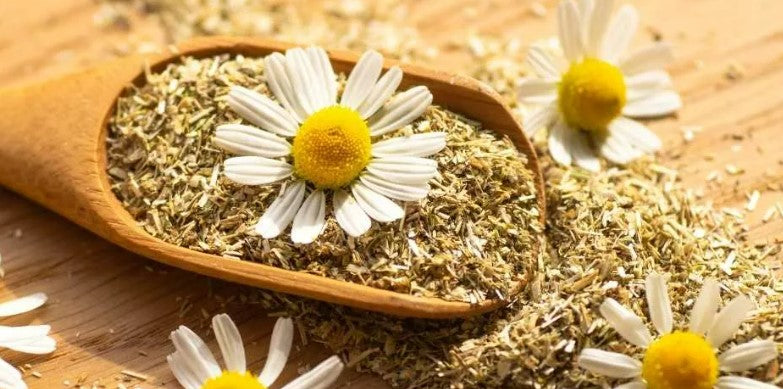 شاي أعشاب زهور البابونج من كيندا 50 جم